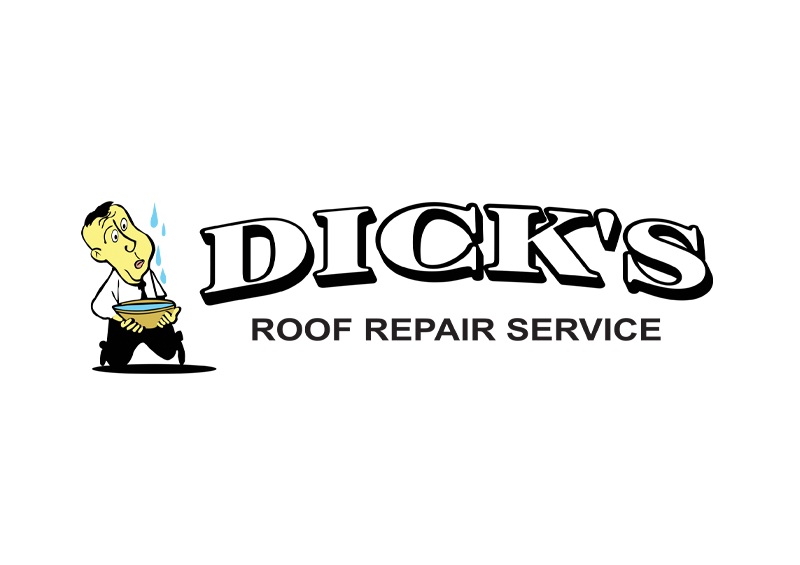 Dicks Website 800x565